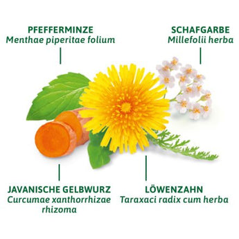 Arzneitee, Leber - & galle Tee (8 Beutel), 14 g - VivaVoss
