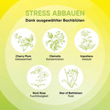 Bachblüten Mentale Balance Tropfen, 10 ml - VivaVoss