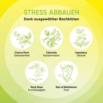 Bachblüten Mentale Balance Tropfen, 10 ml - VivaVoss