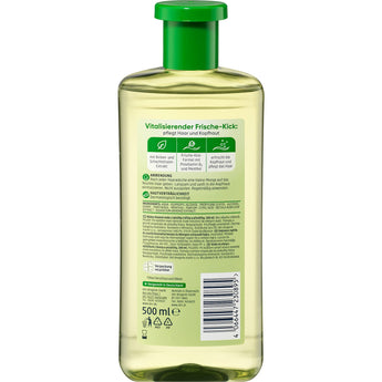 Rückseite der Balea Haarwasser Birke 500 ml Flasche mit grüner Kappe und detaillierten Produktinformationen auf dem Etikett.