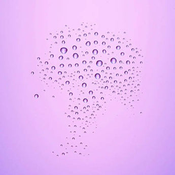 Fixierspray Ultra Last2