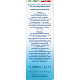 ginkgo + B - Vitamine + Cholin Kapseln 40 St, 22,4 g - VivaVoss