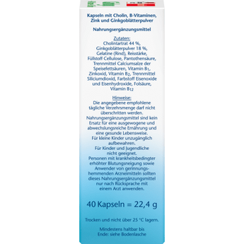 ginkgo + B - Vitamine + Cholin Kapseln 40 St, 22,4 g - VivaVoss