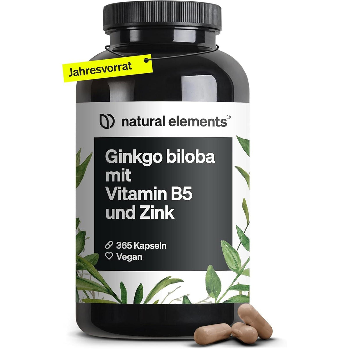 Ginkgo biloba – optimal dosiert mit 3750mg - VivaVoss