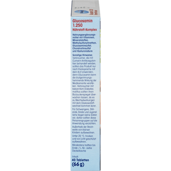 Glucosamin 1.250 Nährstoff - Komplex, 40 St., 66 g - VivaVoss