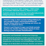 Glucosamin 1600 Kollagen MSM Vitamin C Kapseln 40 St, 45,2 g - VivaVoss