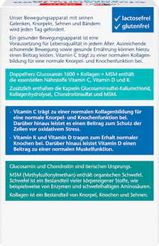 Glucosamin 1600 Kollagen MSM Vitamin C Kapseln 40 St, 45,2 g - VivaVoss