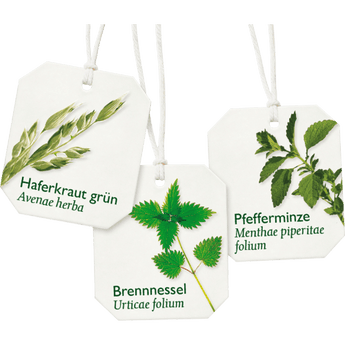 Kräutertee Basisch mit Zink (8 Beutel), 14,4 g - VivaVoss