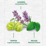 Kräutertee "Einschlaftee mit Melatonin" (12 Beutel), 27,12 g - VivaVoss