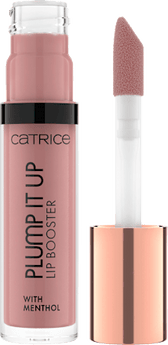 Lipgloss Plump It Up 040