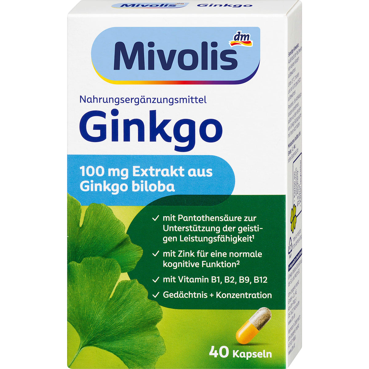Ginkgo Kapseln 40St, 20 g