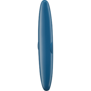Reise - Etui für Zahnbürsten blau, 1 St - VivaVoss