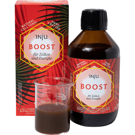 Zell Tonic Boost, 250 ml - VivaVoss