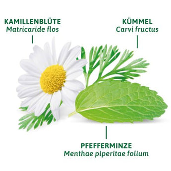 Arzneitee, Magen - & Darm Tee (8 Beutel), 14 g - VivaVoss