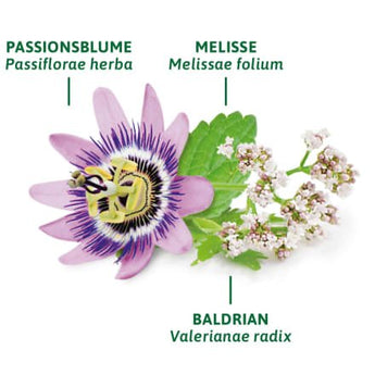 Arzneitee, Schlaf - & Nerven Tee (8 Beutel), 14 g - VivaVoss