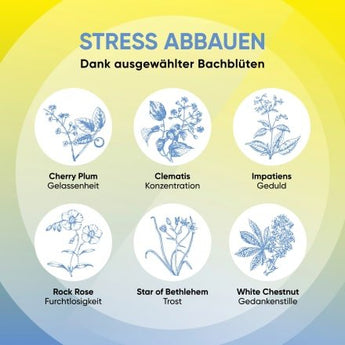 Bachblüten Nachtruhe Tropfen, 10 ml - VivaVoss