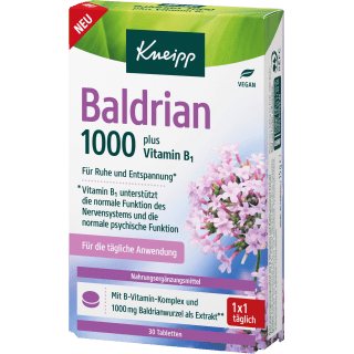 Baldrian 1000 Tabletten 30 St, 15 g - VivaVoss