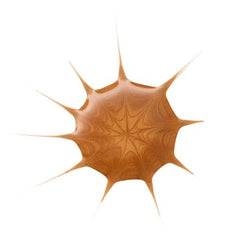 Bronzer Drop Of Sunshine, 25 ml - VivaVoss