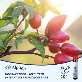 CH Alpha CH Alpha Plus Set of 30 - collagen peptides and rose hip – Muskeln & Gelenke image_position | VivaVoss
