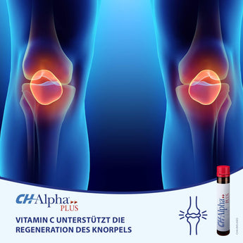 CH Alpha CH Alpha Plus Set of 30 - collagen peptides and rose hip – Muskeln & Gelenke image_position | VivaVoss