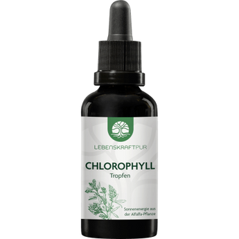 Chlorophyll flüssig, 50 ml - VivaVoss