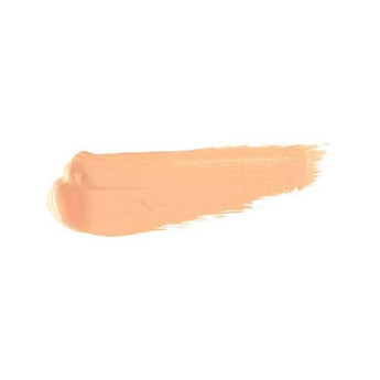 Concealer Liquid High Coverage Waterproof 005 Light Natural 