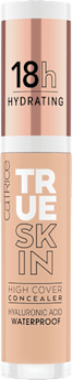 Concealer True Skin High Cover Waterproof 020 Warm Beige 