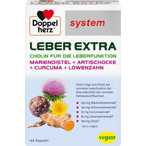 Doppelherz System Leber Extra Kapseln 120 St Doppelherz