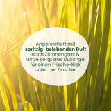 Duschgel Zitronengras Minze Jean&Len