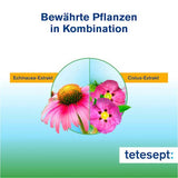 Echinacea + Cistus Plus Tabletten tetesept