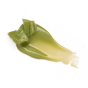 Lippenbalsam Juicy Bomb Glossy 04 Kiwi To My Heart  essence