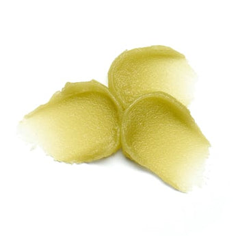 essence Lippenpeeling Lip Care Suger Scrub 02 Matcha Latte, 9 g - VivaVoss