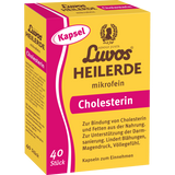 Heilerde mikrofein Kapseln, 40 St - VivaVoss