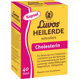 Heilerde mikrofein Kapseln, 40 St - VivaVoss