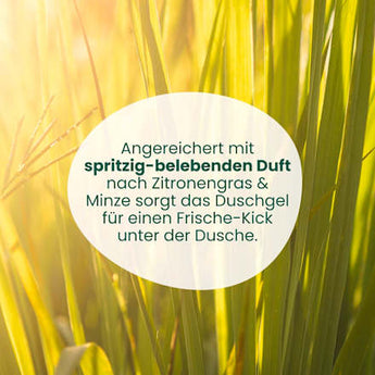 Duschgel Zitronengras Minze Jean&Len