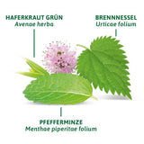 Kräutertee Basisch mit Zink (8 Beutel), 14,4 g - VivaVoss
