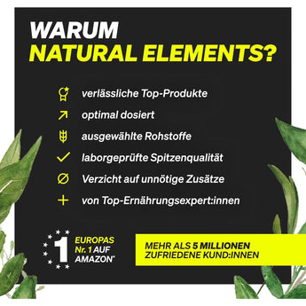 natural elements l carnitin L-Carnitin 2000 Premium: Carnipure , 120 Kapseln Vegan