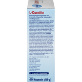l carnitina shelo nabel tipos de l carnitina Essential L-Carnitine