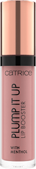 Lipgloss Plump It Up 040 