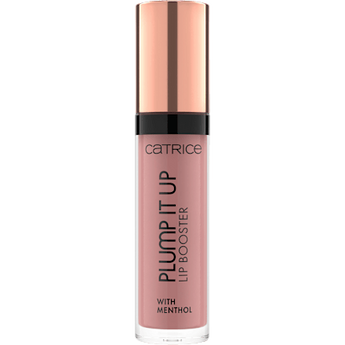 Lipgloss Plump It Up 040 