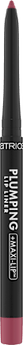 Lipliner Plumping 050 Licence To Kiss 