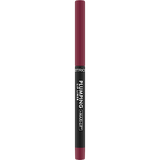 Lipliner Plumping 090 The Wild One 