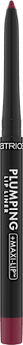 Lipliner Plumping 090 The Wild One 