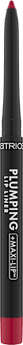 Lipliner Plumping 110 Stay Seductive 
