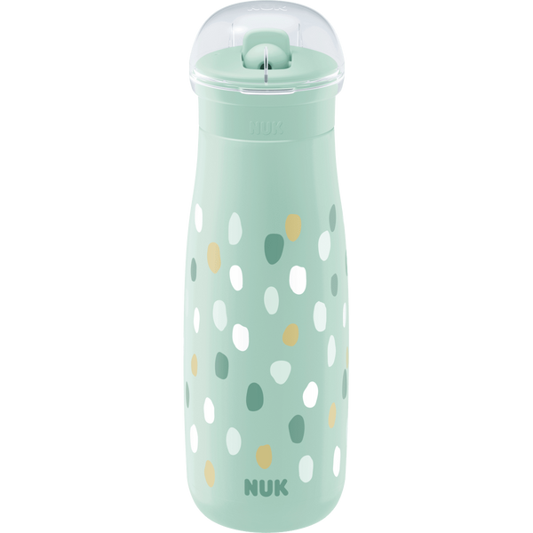 NUK Trinkhalmflasche Mini-Me mint, 450ml, 1 St by NUK – VivaVoss