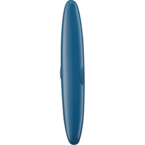 Reise - Etui für Zahnbürsten blau, 1 St - VivaVoss