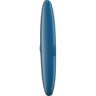 Reise - Etui für Zahnbürsten blau, 1 St - VivaVoss