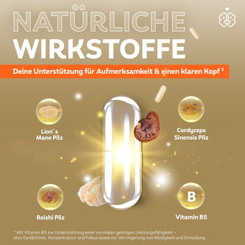 serotalin® GENIUS MUSHROOMS - VivaVoss