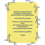Verdauungshelfer Tabletten 45 St, 19 g - VivaVoss