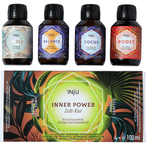 Zell Kur Inner Power 4x 100 ml, 400 ml - VivaVoss
